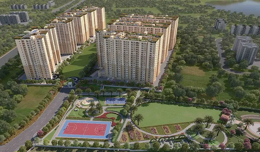 2950- Revolution One_Padur_Image-12-01  (1) copy